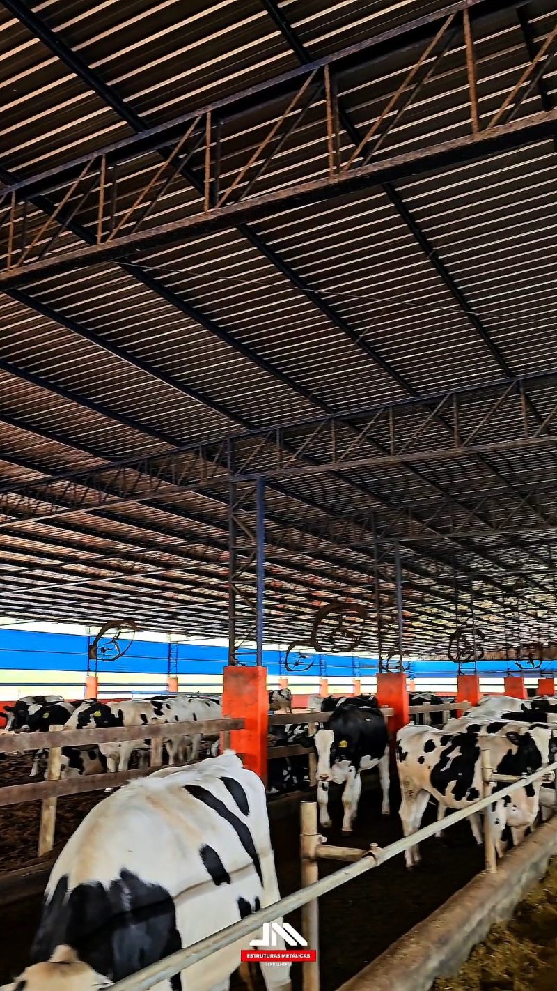 Barracão Compost Barn